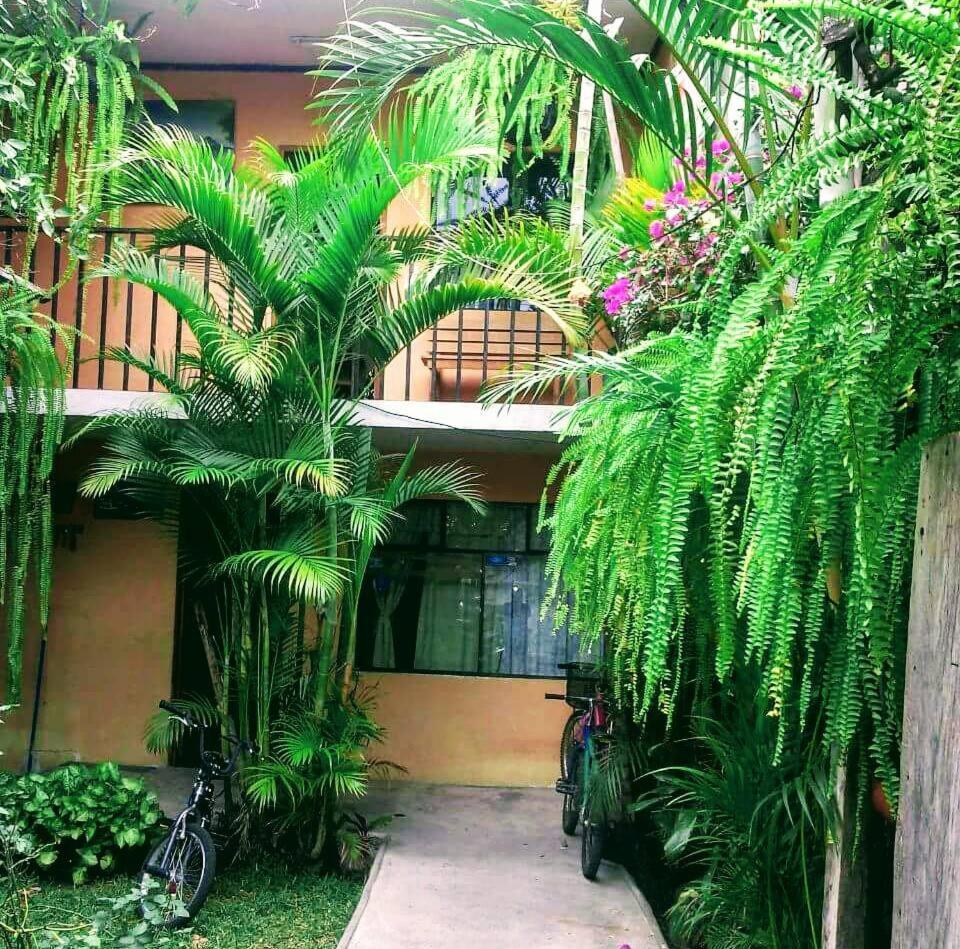 Hospedaje Eli Panajachel Extérieur photo